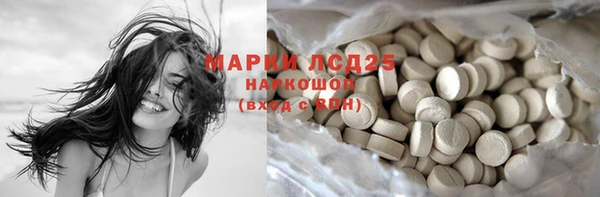 ГАЛЛЮЦИНОГЕННЫЕ ГРИБЫ Вязьма