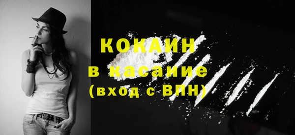 прущие крисы Вяземский