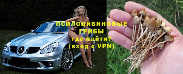 ГАЛЛЮЦИНОГЕННЫЕ ГРИБЫ Вязьма