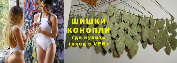 ГАЛЛЮЦИНОГЕННЫЕ ГРИБЫ Вязьма