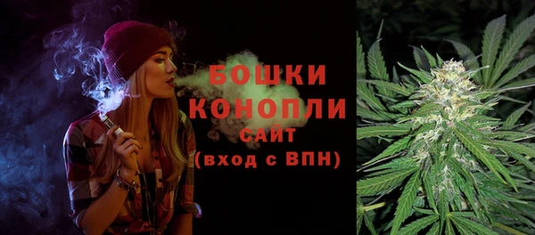 прущие крисы Вяземский