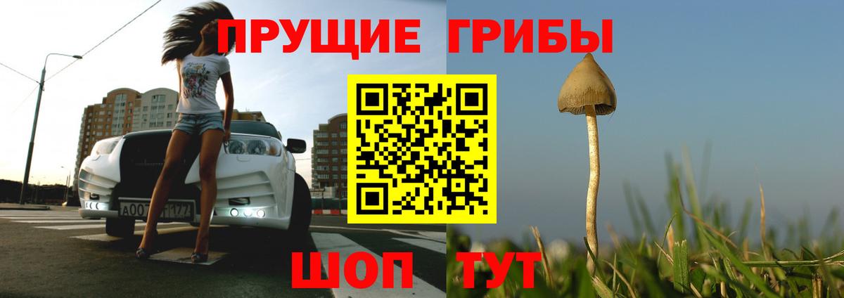 Псилоцибиновые грибы Magic Shrooms  Вход с VPN  Мариинск 